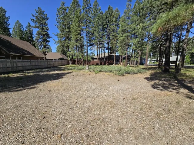a view of a yard with plants and trees
