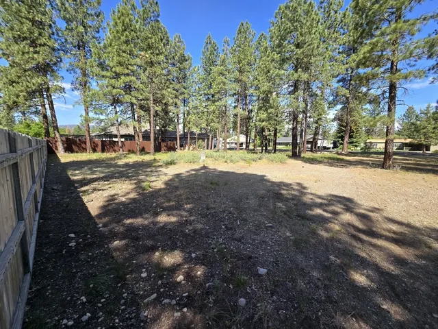a view of a yard with plants and trees