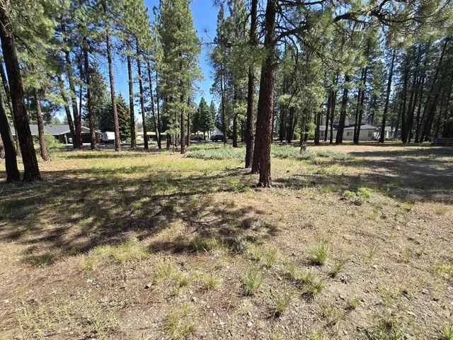 a view of park space