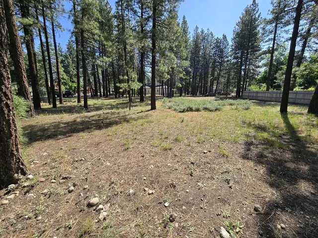 a view of outdoor space with trees