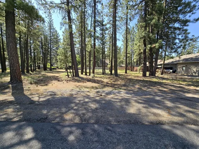 a view of road with trees