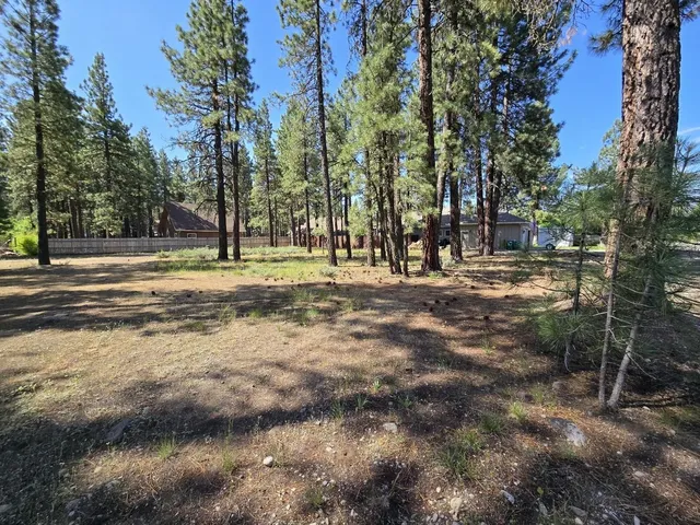 a view of a yard with tree s