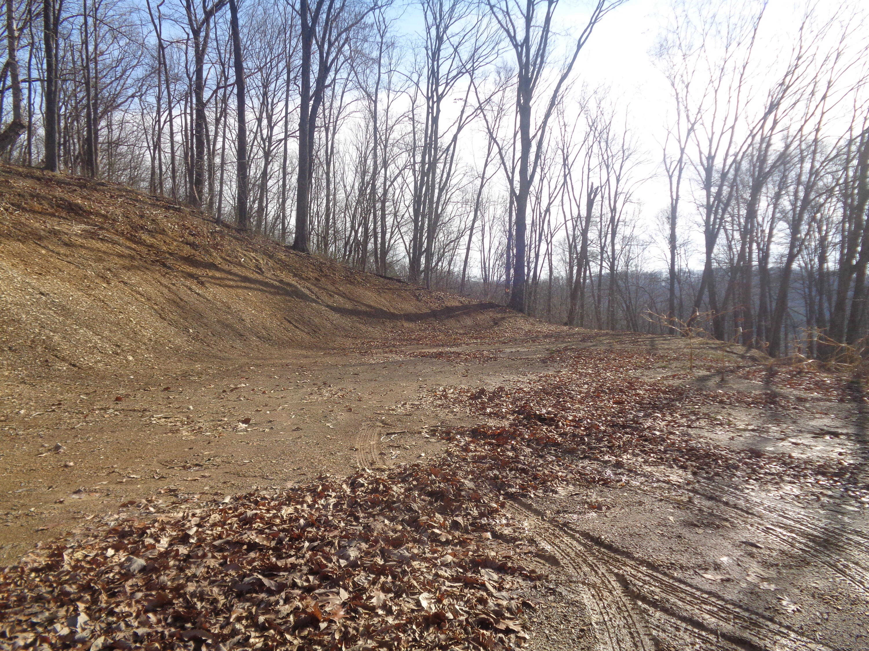 D Freeman Branch Road East Bernstadt, KY 40729 - Photo 2 of 8 DSC07327