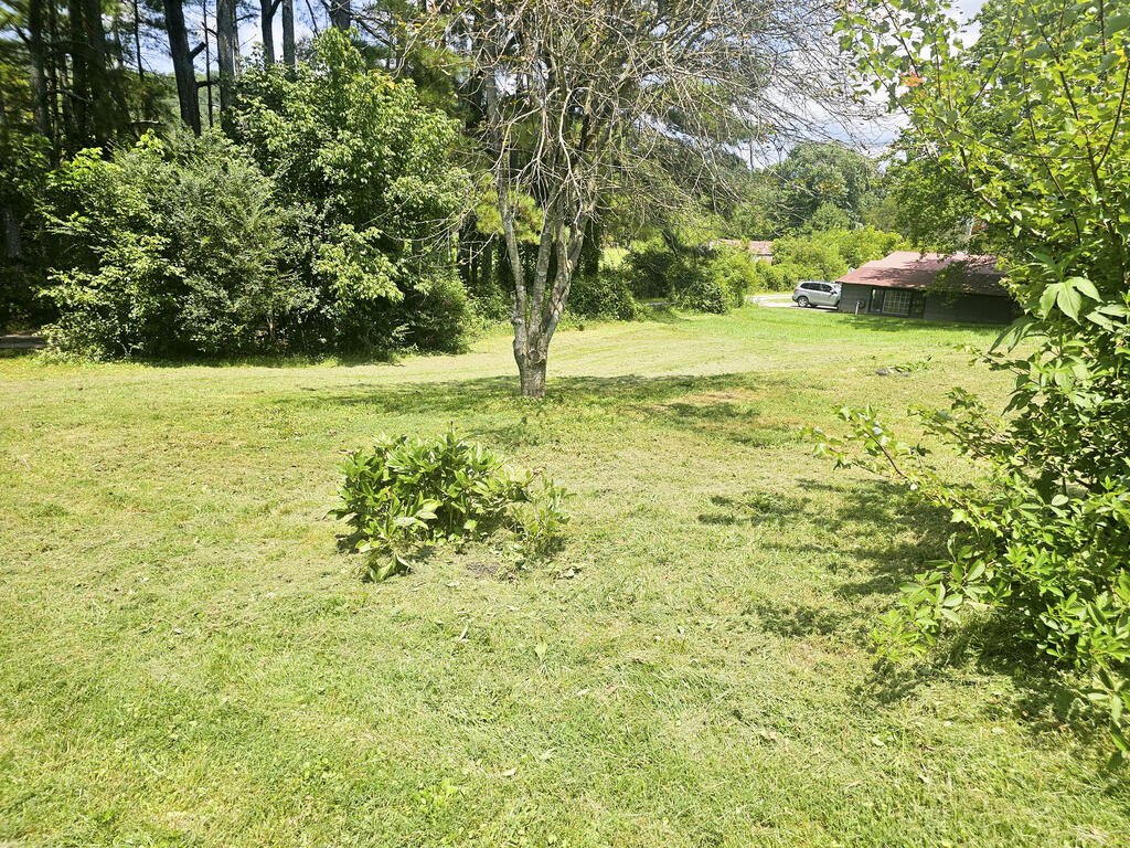 34 Trull Road Marble, NC 28905 - Photo 29 of 35 Gallery Image 29