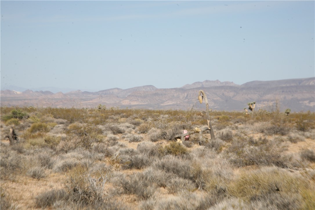 245-18-266 Alan Road Yucca, AZ 86438 - Photo 13 of 54