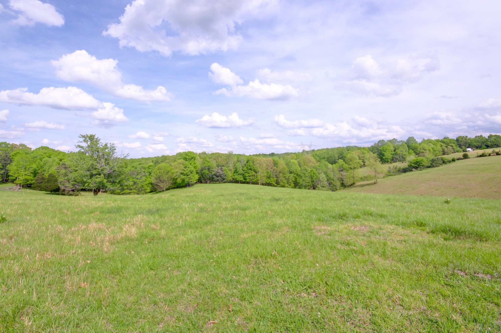 3915 Oak Ridge Road Palmyra, TN 37142 - Photo 3 of 61 a view of a big yard with plants and a large trees