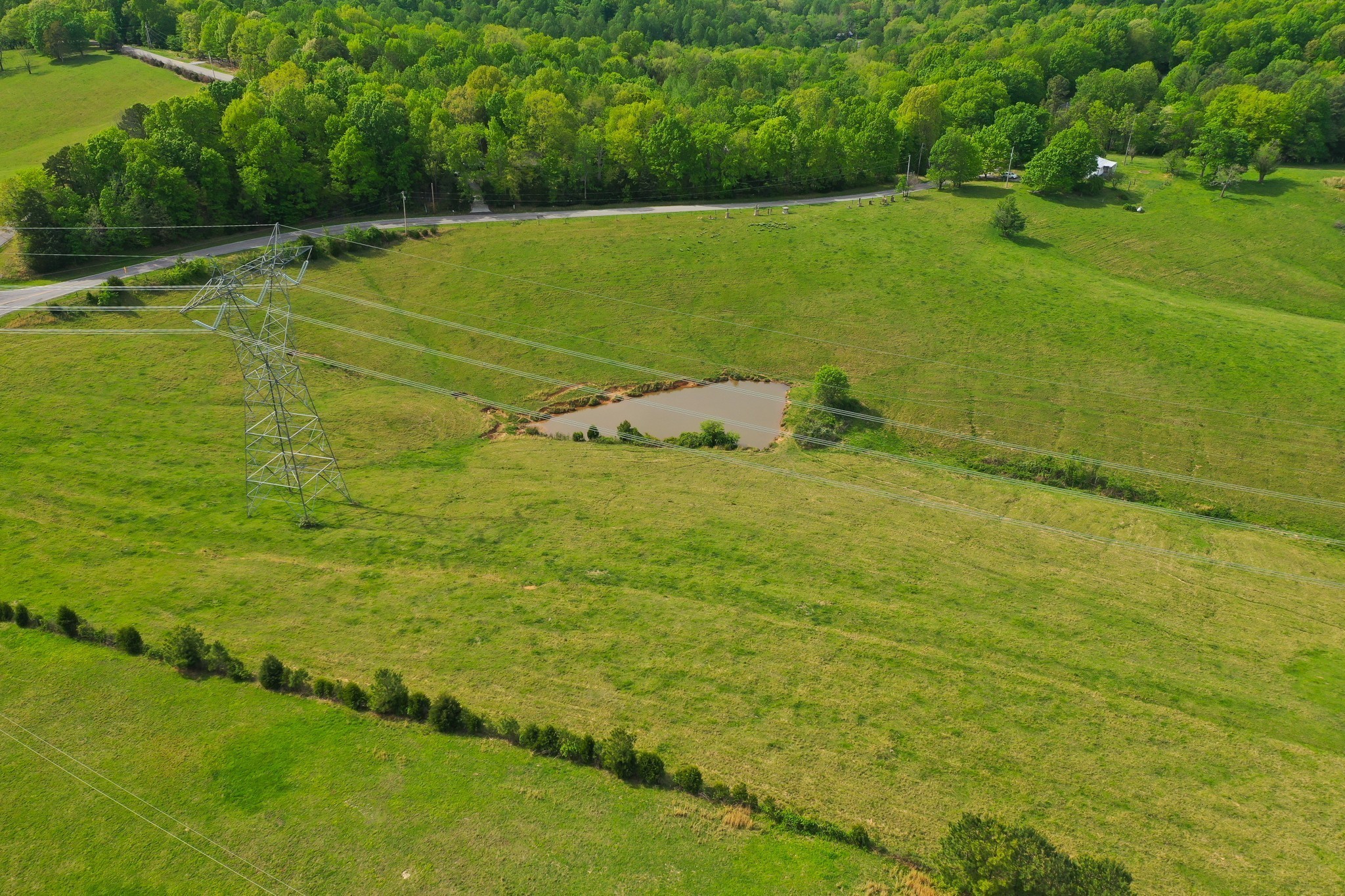 3915 Oak Ridge Road Palmyra, TN 37142 - Photo 34 of 61 a view of a field with an ocean