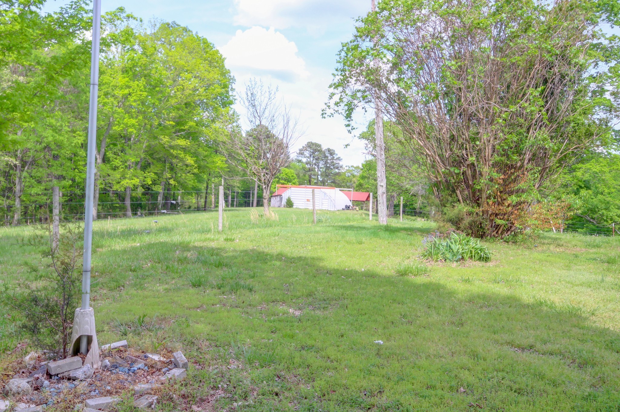 3915 Oak Ridge Road Palmyra, TN 37142 - Photo 4 of 61 a view of a park with large trees