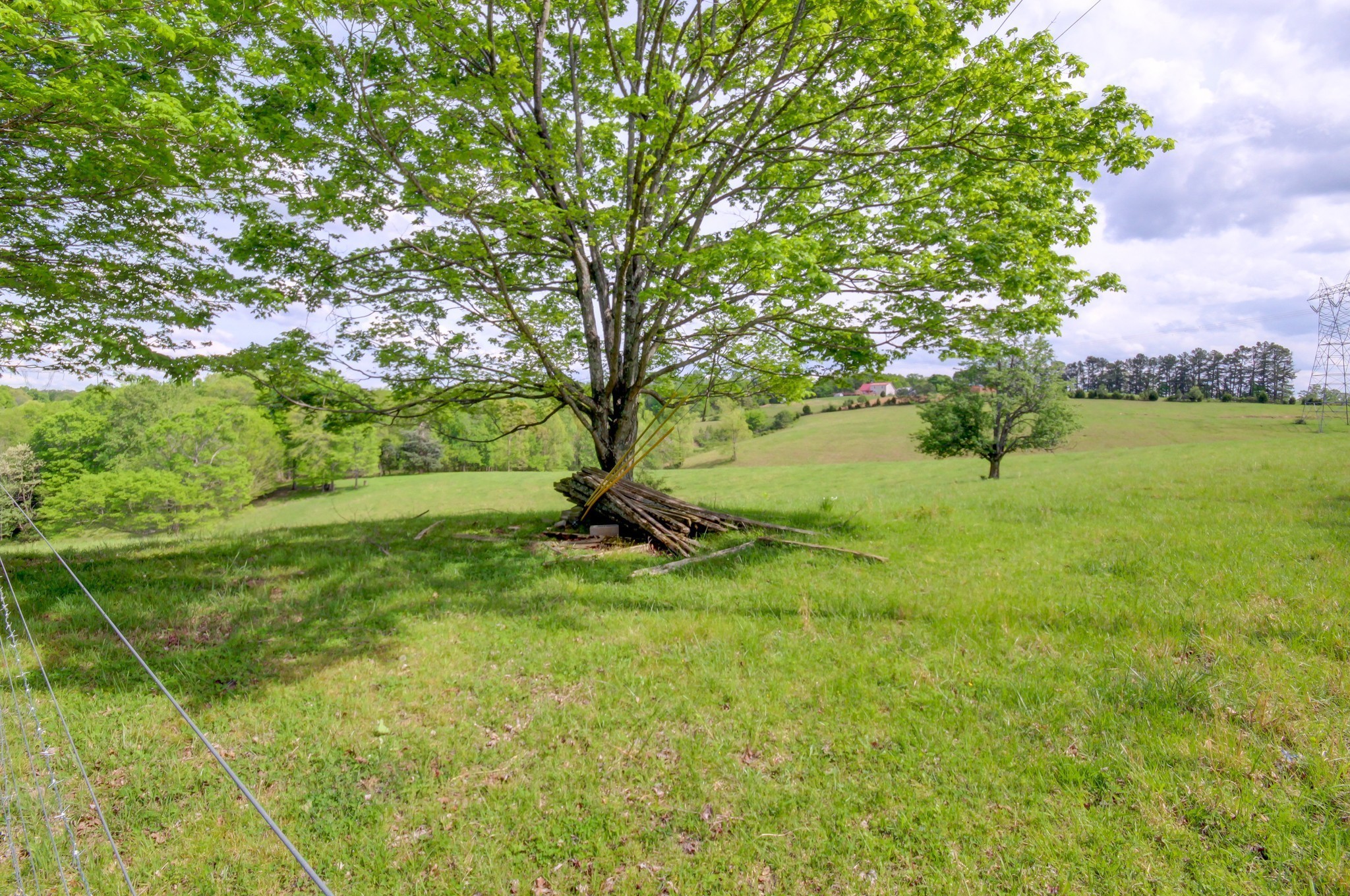 3915 Oak Ridge Road Palmyra, TN 37142 - Photo 5 of 61 a view of yard with green space