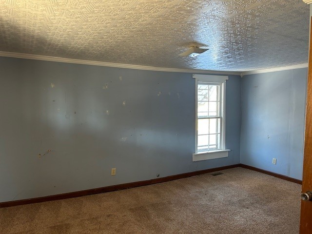 3915 Oak Ridge Road Palmyra, TN 37142 - Photo 53 of 61 an empty room with windows