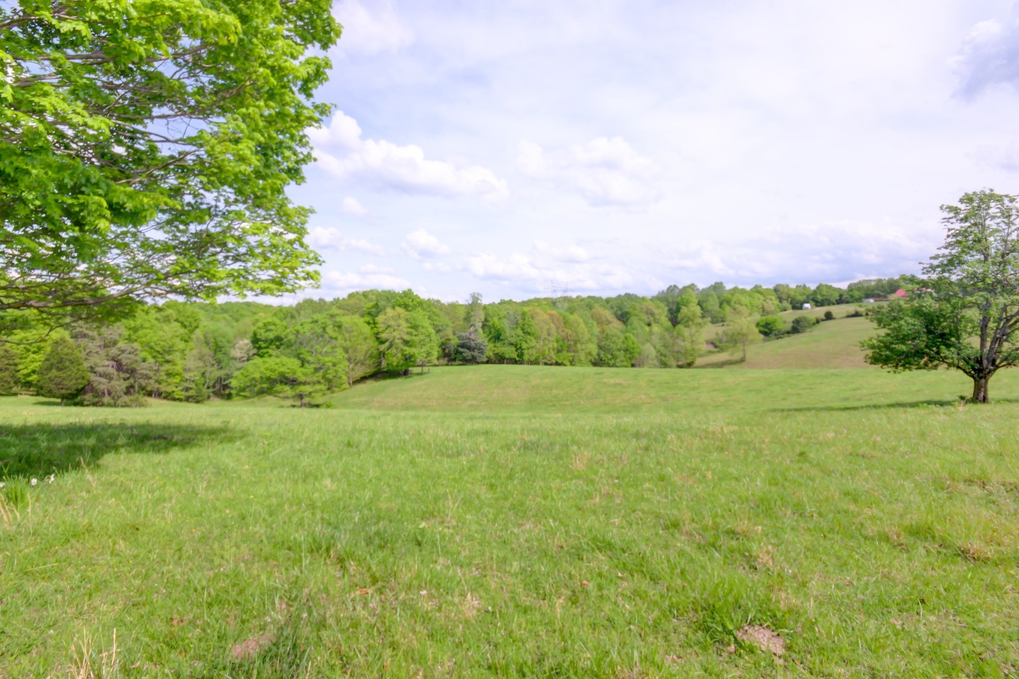 3915 Oak Ridge Road Palmyra, TN 37142 - Photo 6 of 61 a view of a field of grass and trees