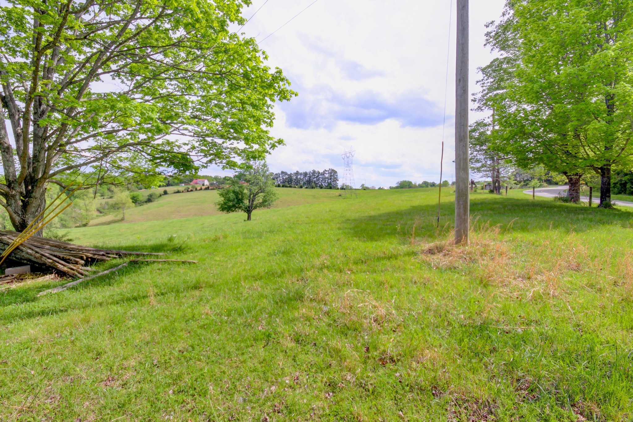 3915 Oak Ridge Road Palmyra, TN 37142 - Photo 7 of 61 a view of a garden with an trees