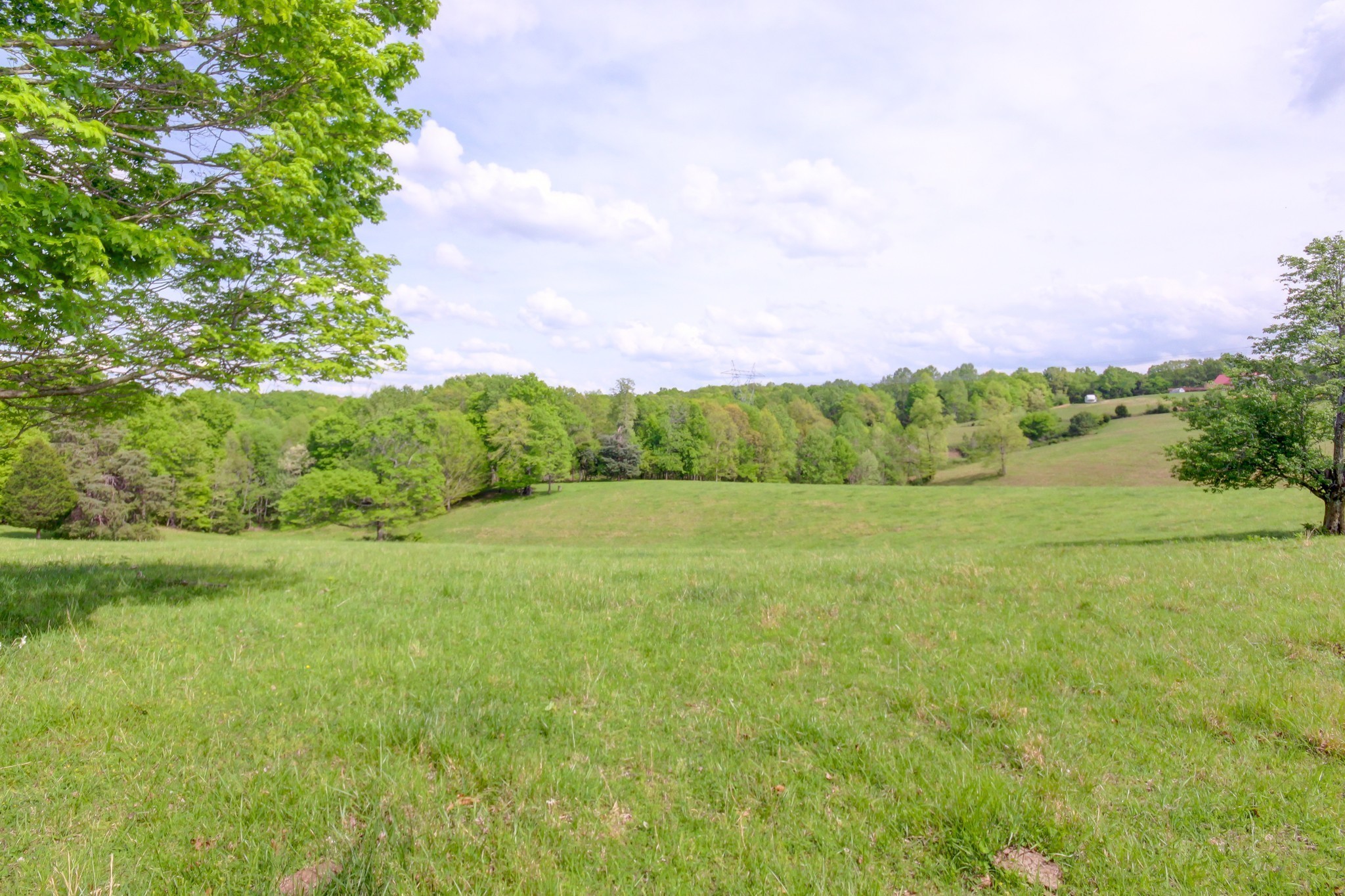 3915 Oak Ridge Road Palmyra, TN 37142 - Photo 8 of 61