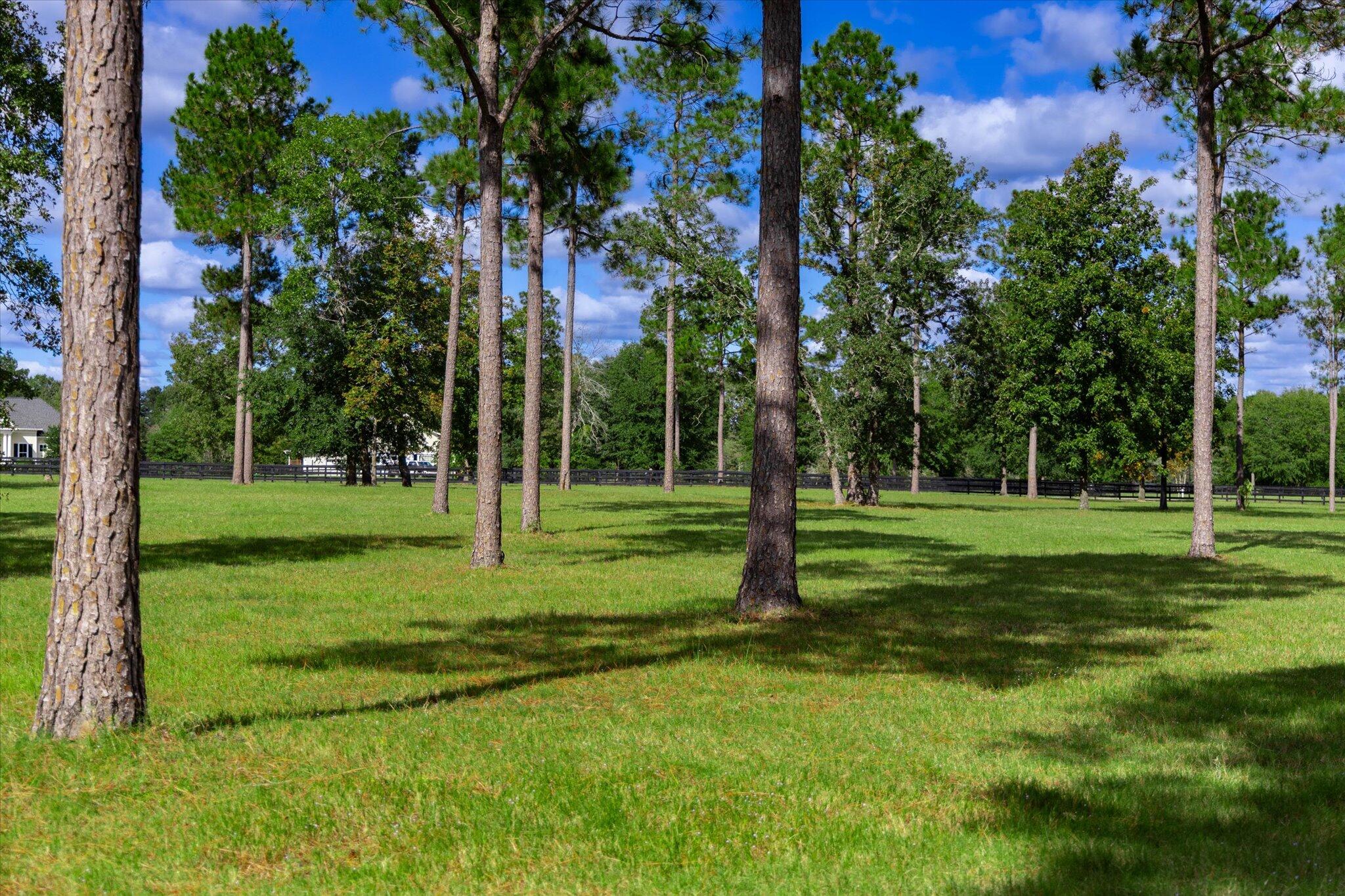 215 Filly Drive, Unit A Aiken, SC 29803 - Photo 65 of 75