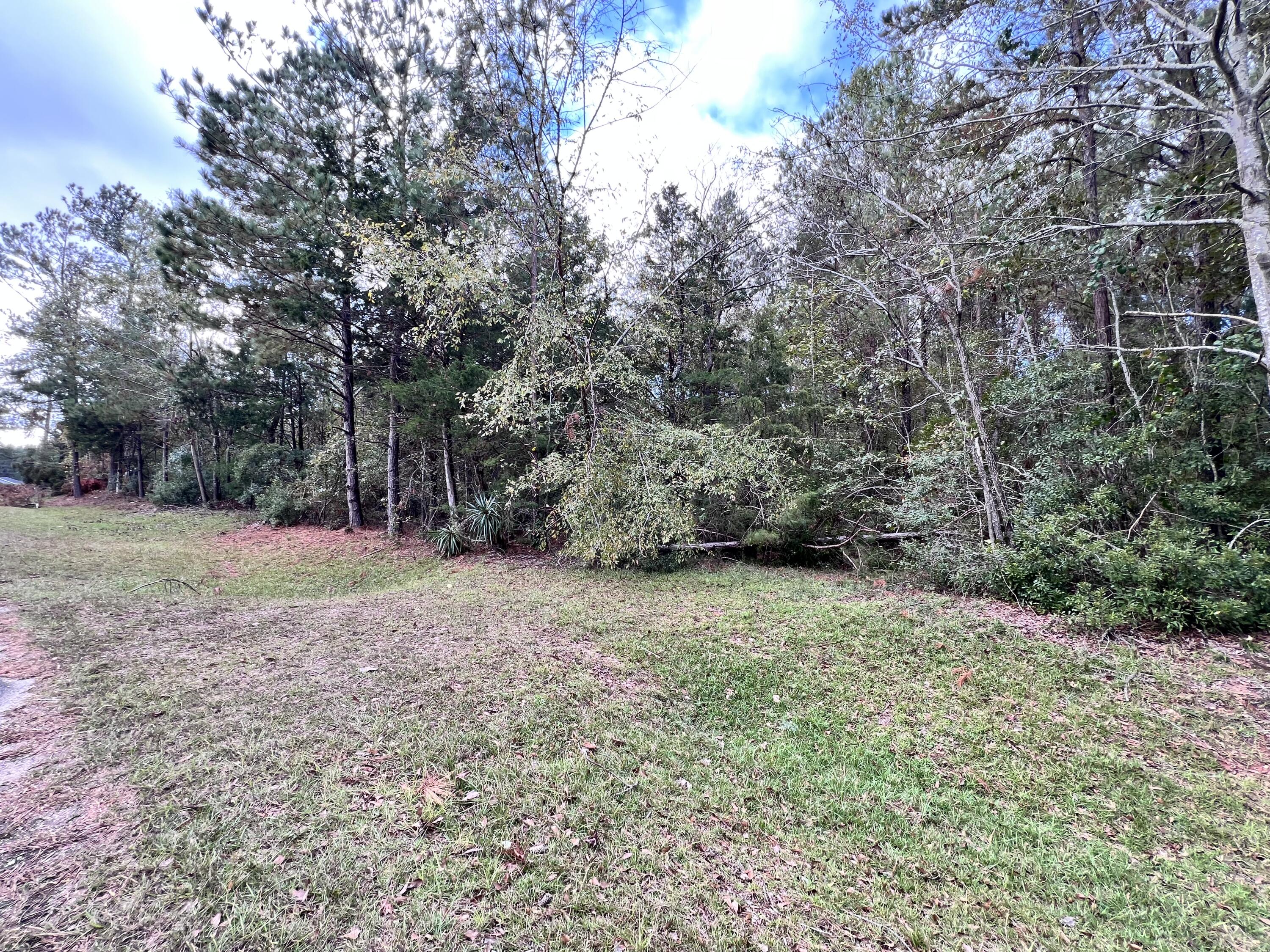 Lot B Ridge Road Appling, GA 30802 - Photo 2 of 5 IMG_0390