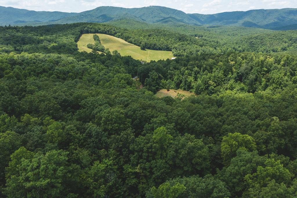 Tbd Lee Elgin Road, Unit 481797D Woolwine, VA 24185 - Photo 1 of 10 Gallery Image 1