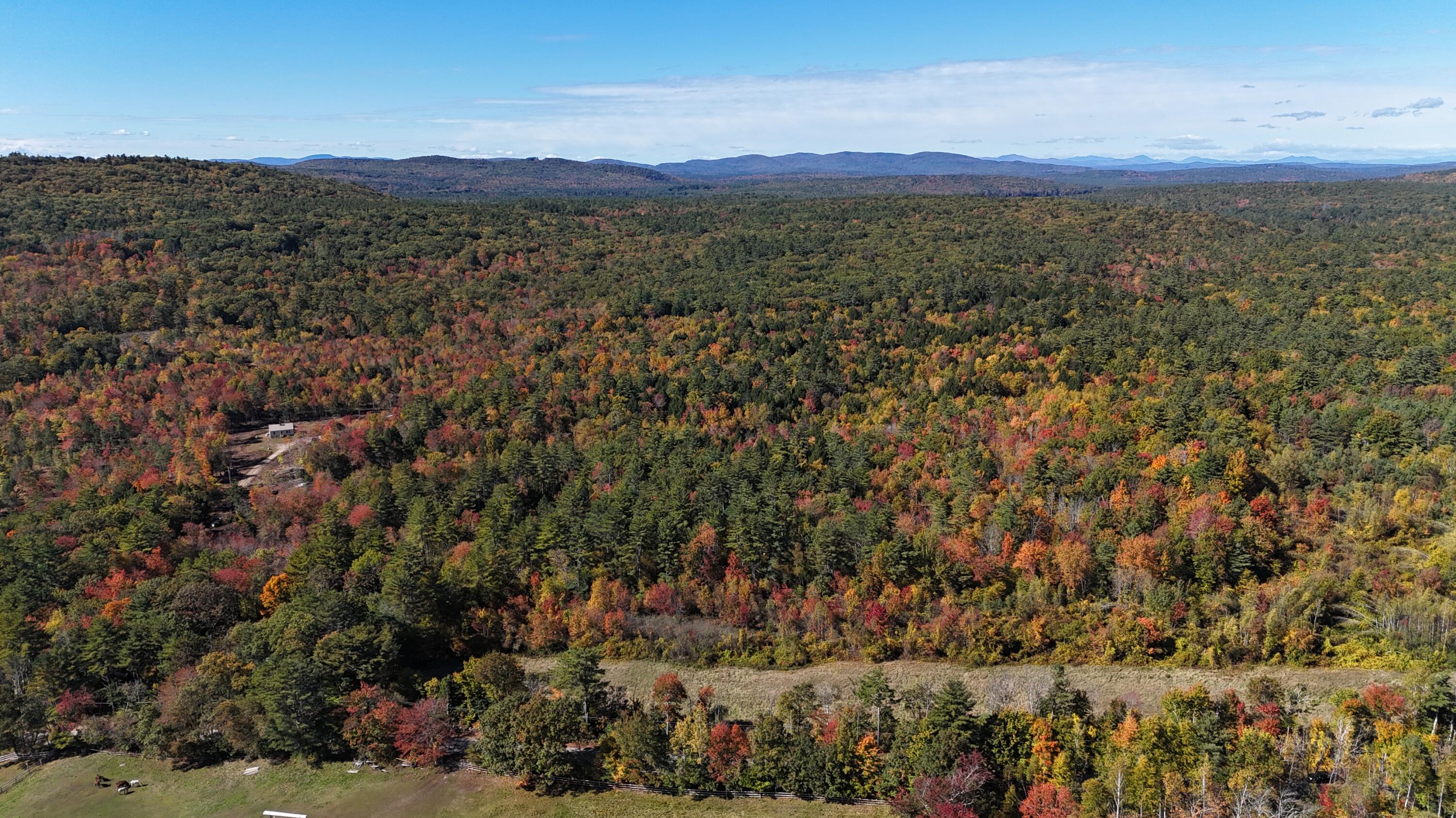 dji_fly_20241008_133312_0479_17284092341