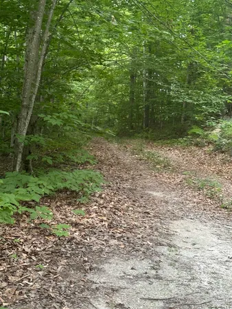 $165,000 | 51 Crane View Drive, Salisbury, VT 05769