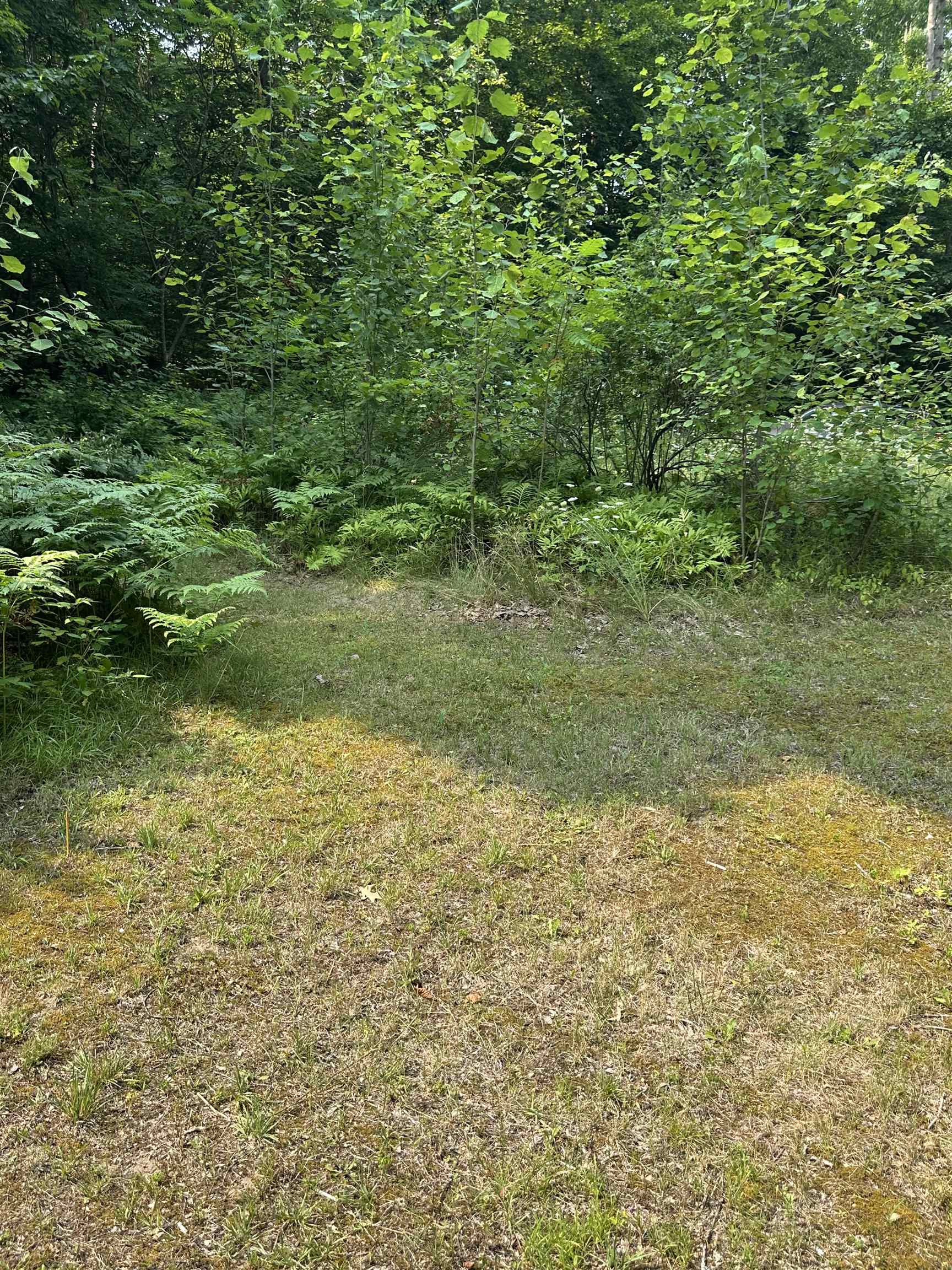 51 Crane View Drive Salisbury, VT 05769 - Photo 5 of 7