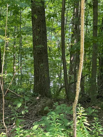 $165,000 | 51 Crane View Drive, Salisbury, VT 05769