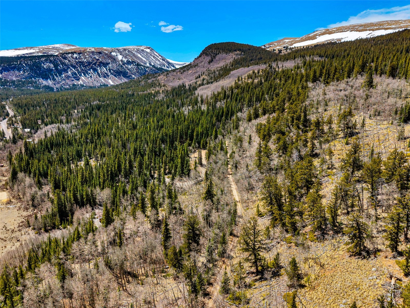 270 Co Road Alma, CO 80420 - Photo 11 of 47