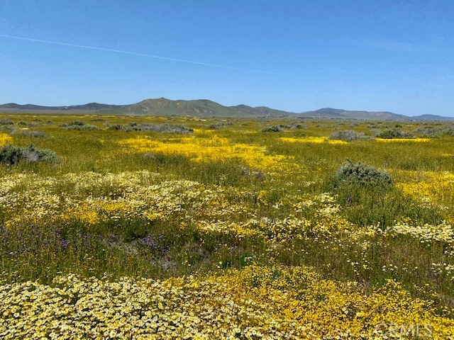 0 Bonsall Road Santa Margarita, CA 93453 - Photo 2 of 6 a view of an ocean