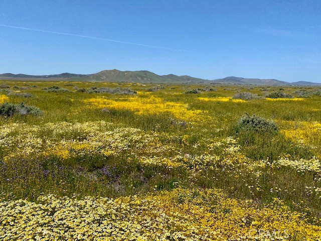 0 Bonsall Road Santa Margarita, CA 93453 - Photo 5 of 6 a view of an ocean