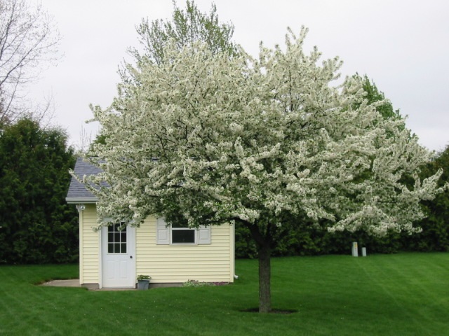 68931 Wild Rose Road New Paris, IN 46553 - Photo 33 of 36 Gallery Image 33