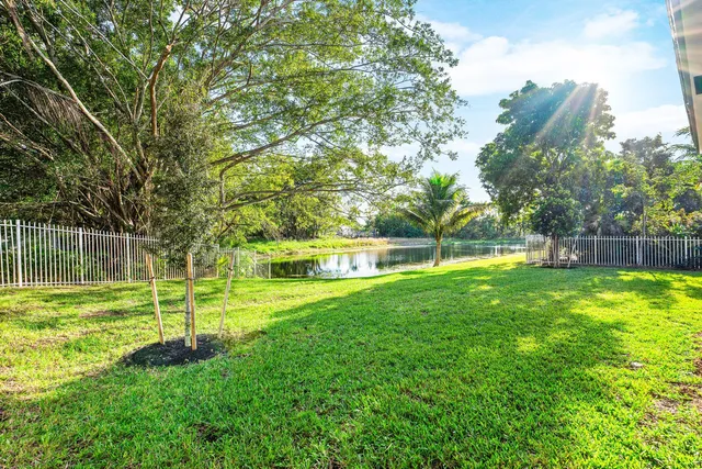 a view of a park with a large tree