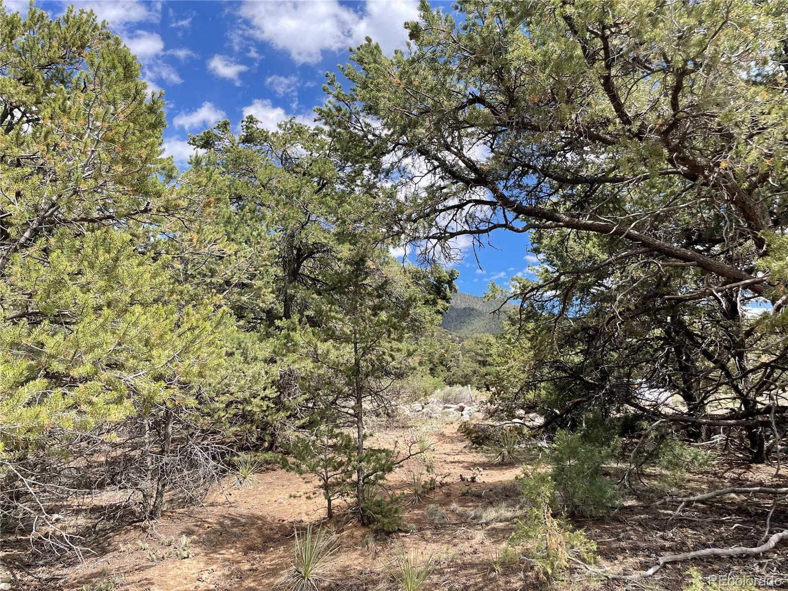 4286 Fallen Tree Crestone, CO 81131 - Photo 5 of 12