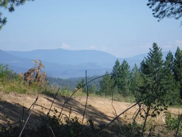 $325,000 | Lot 3 Moose Ridge Way, Loon Lake, WA 99148