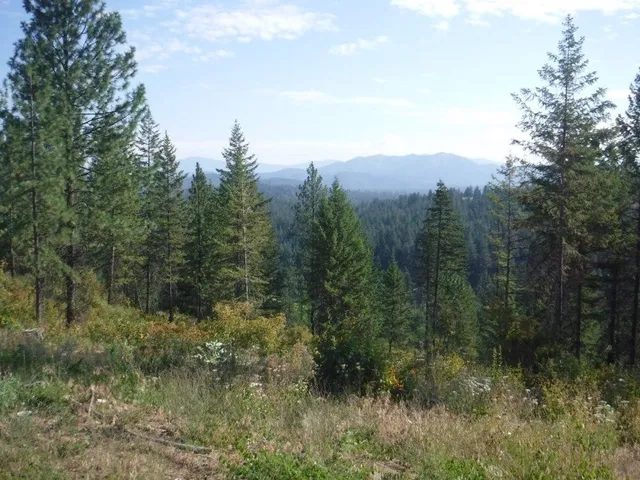 $325,000 | Lot 3 Moose Ridge Way, Loon Lake, WA 99148