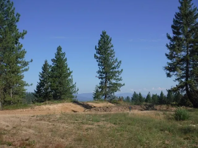 $325,000 | Lot 3 Moose Ridge Way, Loon Lake, WA 99148