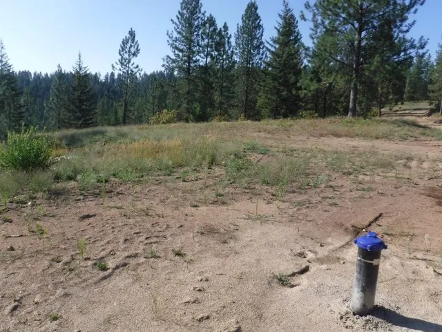 $325,000 | Lot 3 Moose Ridge Way, Loon Lake, WA 99148