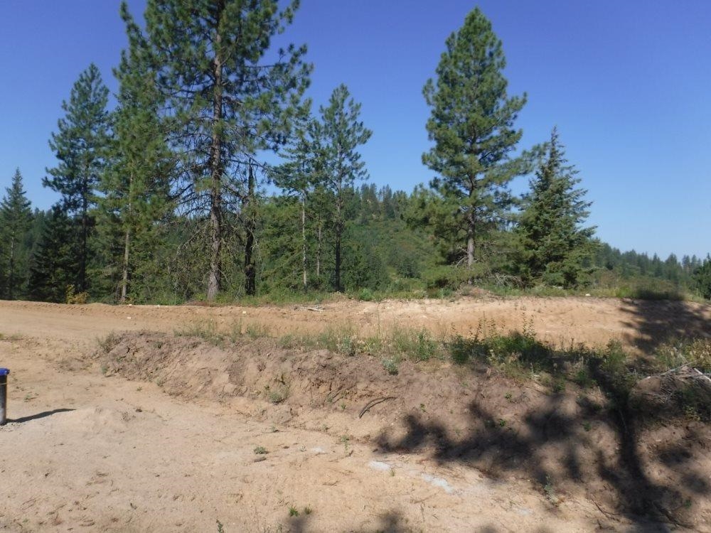 Lot 3 Moose Ridge Way Loon Lake, WA 99148 - Photo 6 of 11