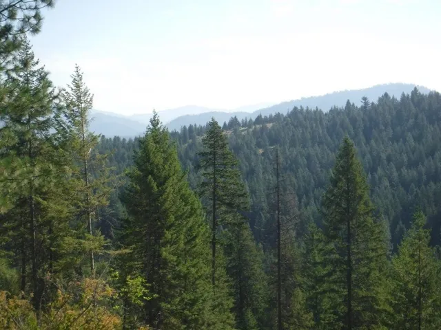 $325,000 | Lot 3 Moose Ridge Way, Loon Lake, WA 99148