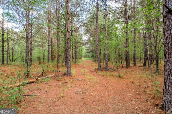 $1,250,000 | 6995 Cobbham Road, Appling, GA 30802
