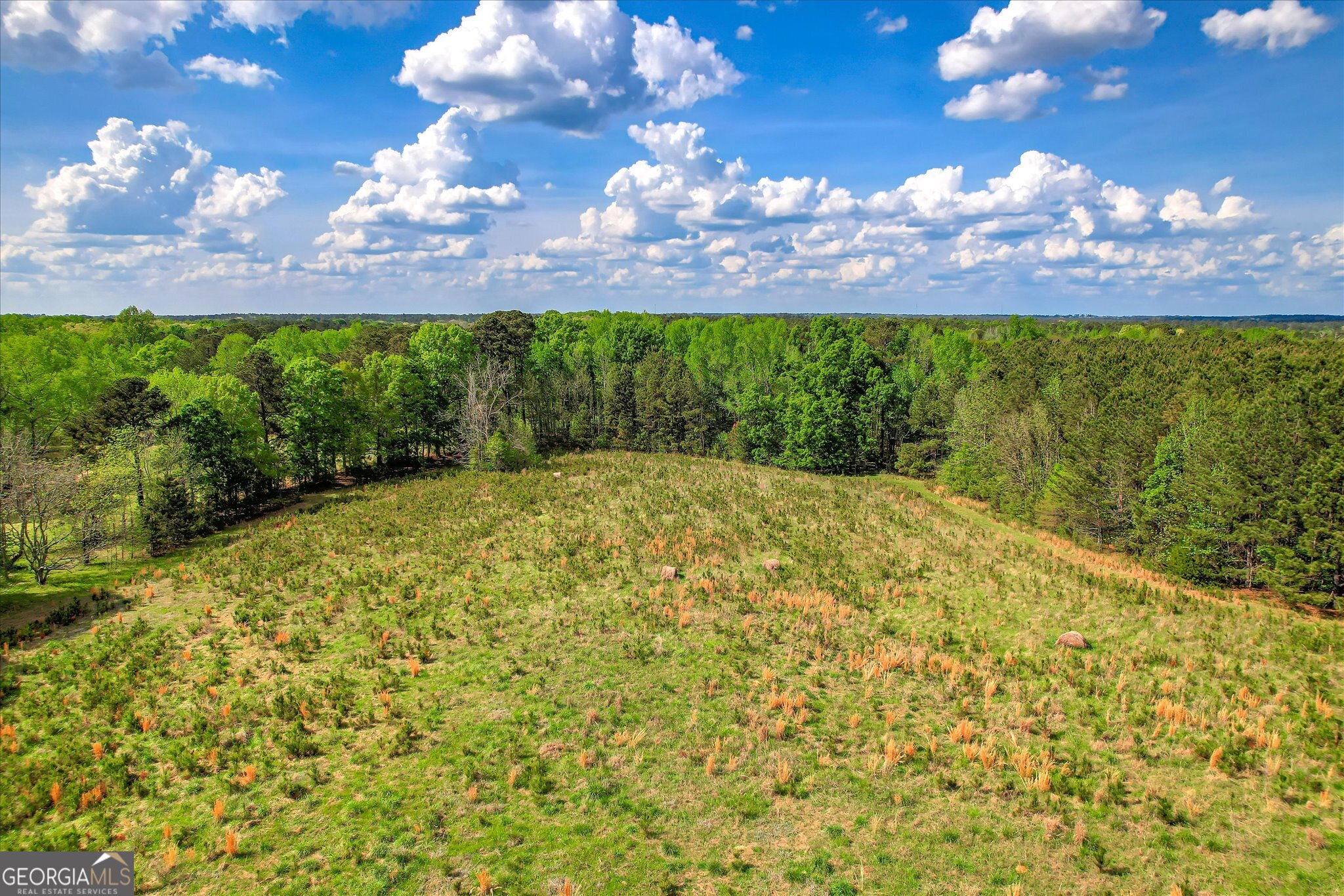 6995 Cobbham Road Appling, GA 30802 - Photo 12 of 18