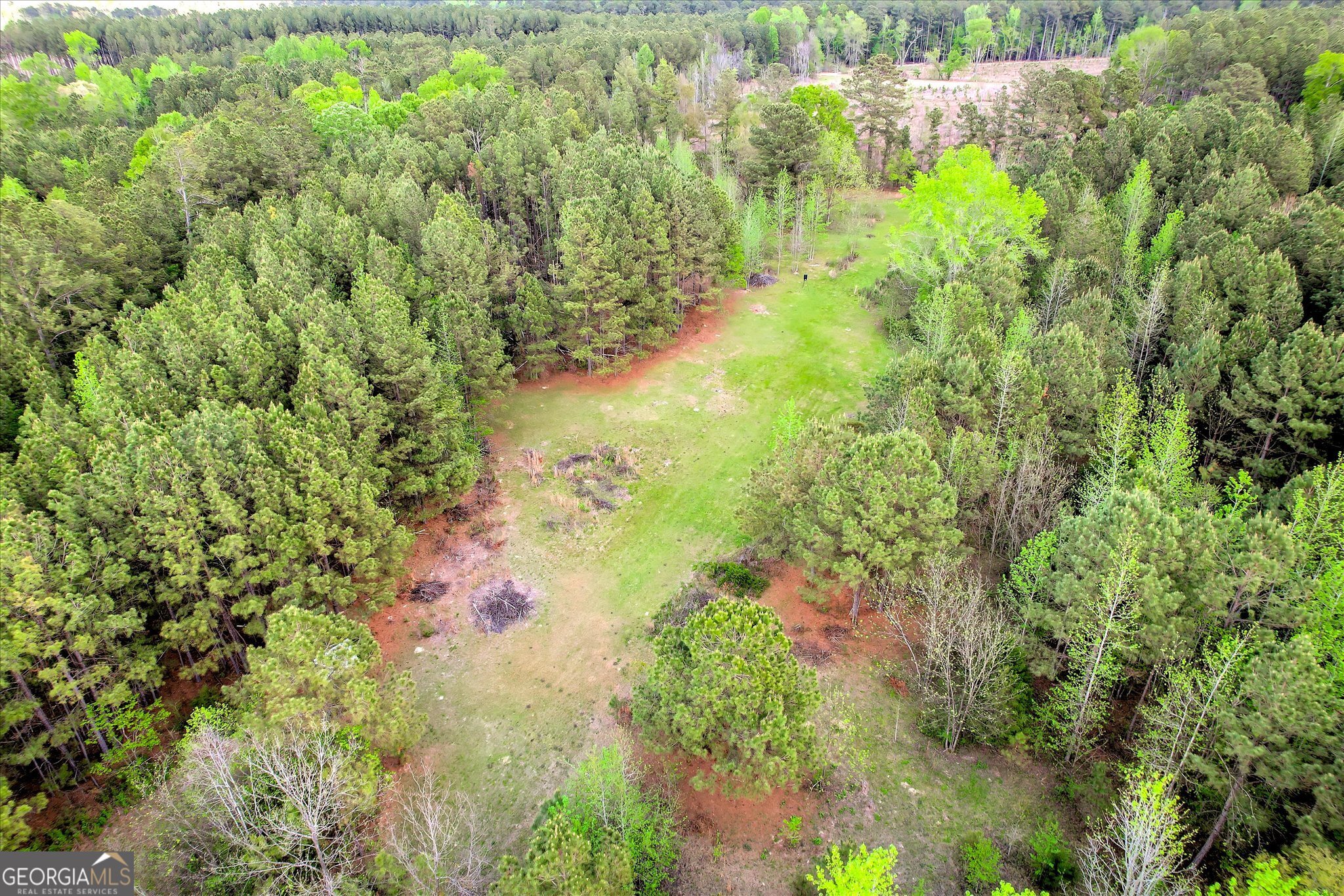 6995 Cobbham Road Appling, GA 30802 - Photo 14 of 18