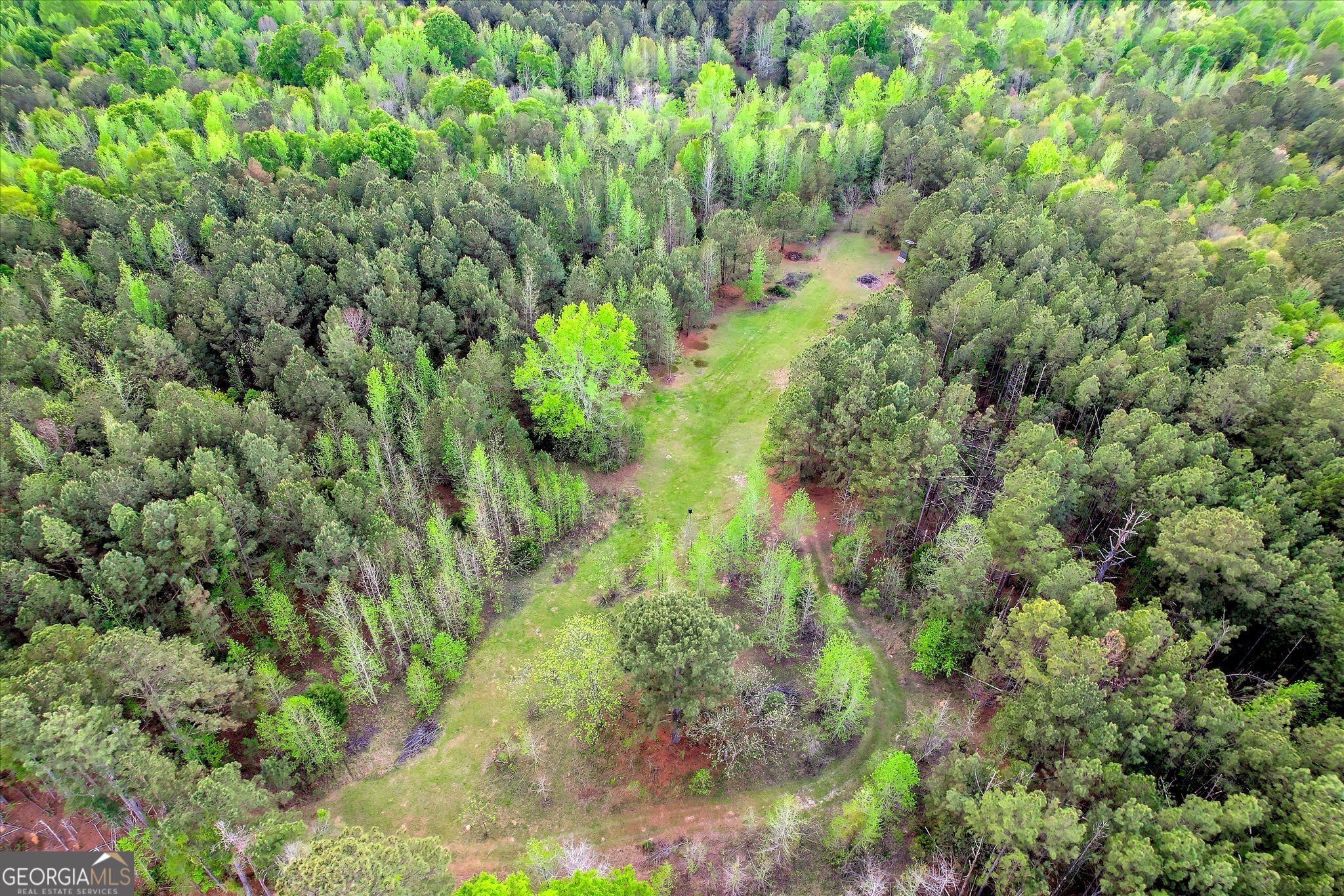 6995 Cobbham Road Appling, GA 30802 - Photo 15 of 18