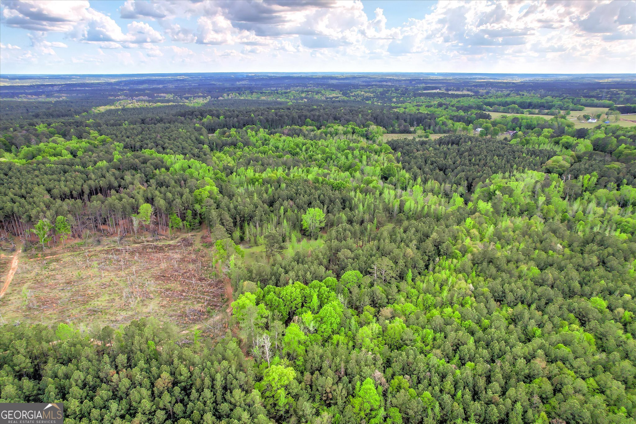 6995 Cobbham Road Appling, GA 30802 - Photo 16 of 18