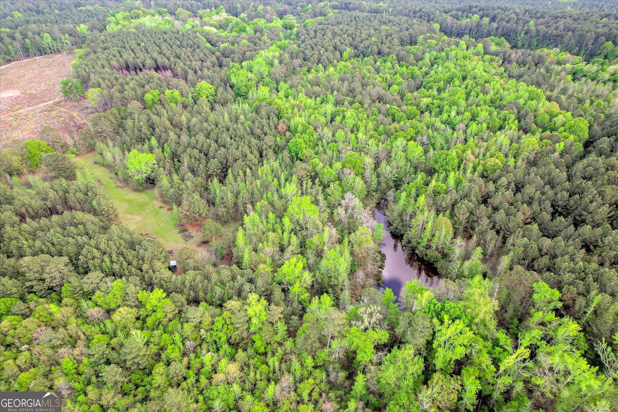 6995 Cobbham Road Appling, GA 30802 - Photo 17 of 18