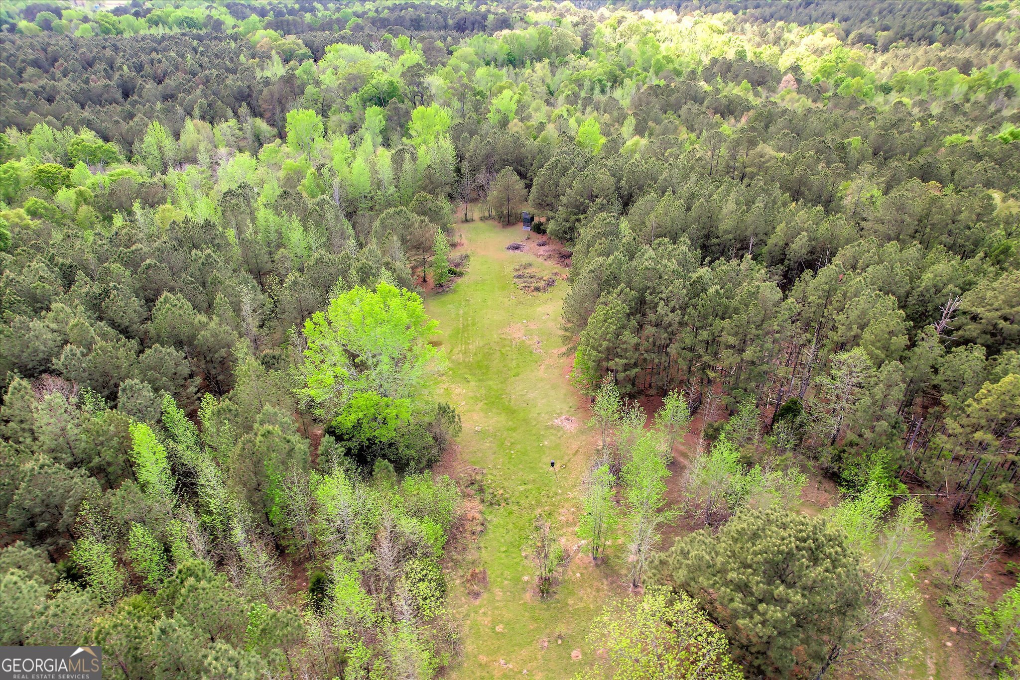 6995 Cobbham Road Appling, GA 30802 - Photo 18 of 18