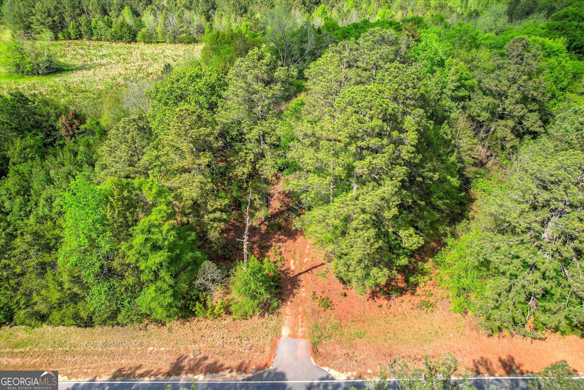 6995 Cobbham Road Appling, GA 30802 - Photo 3 of 18