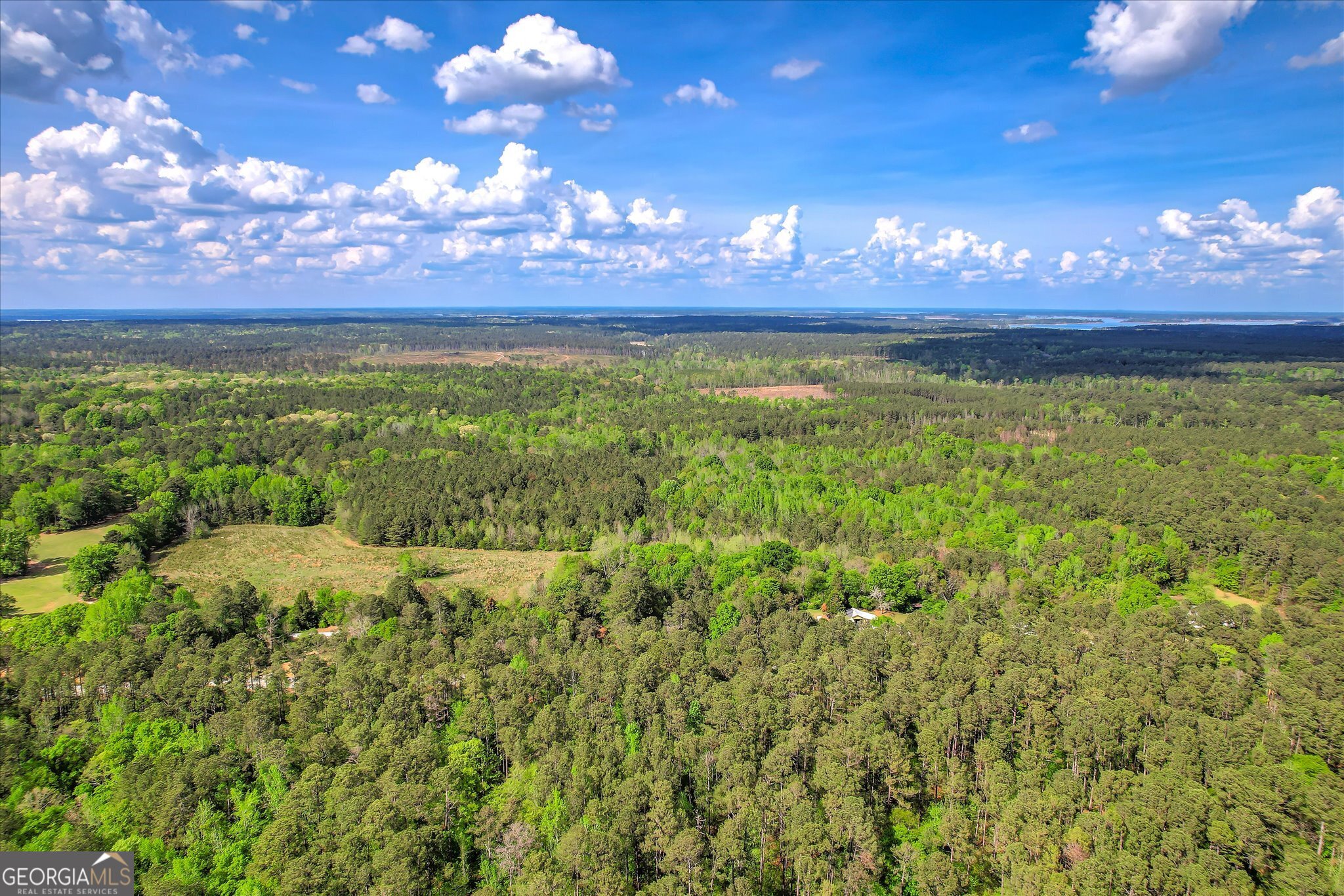 6995 Cobbham Road Appling, GA 30802 - Photo 4 of 18