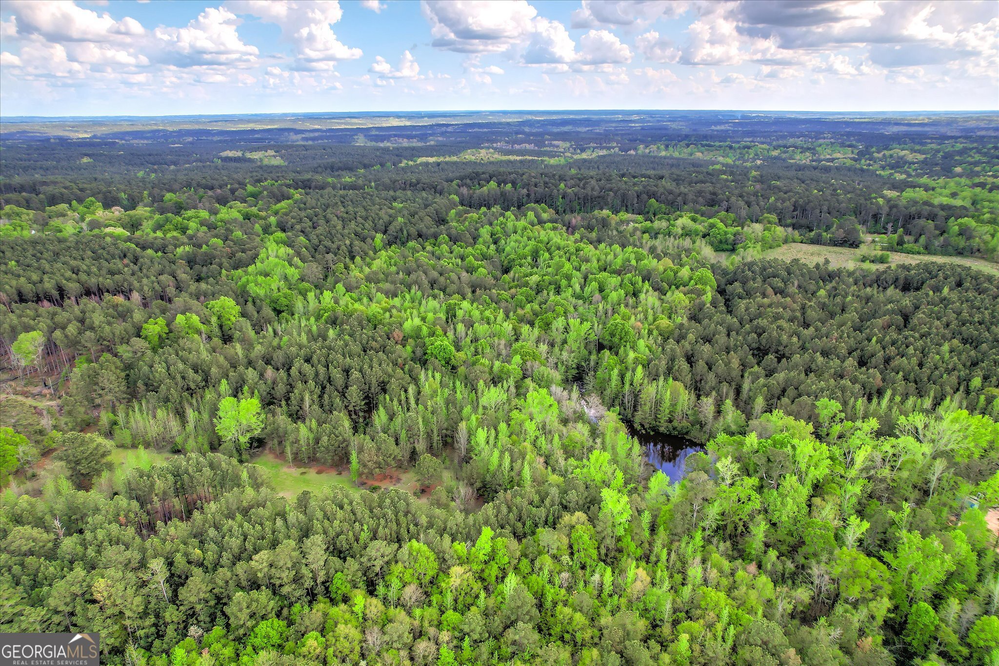 6995 Cobbham Road Appling, GA 30802 - Photo 5 of 18
