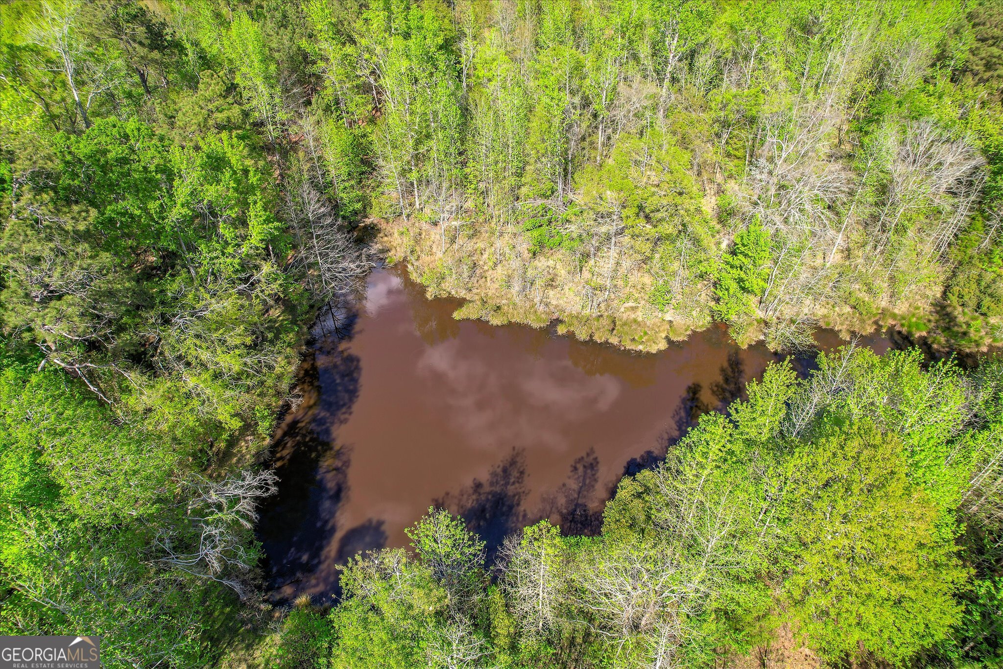 6995 Cobbham Road Appling, GA 30802 - Photo 6 of 18