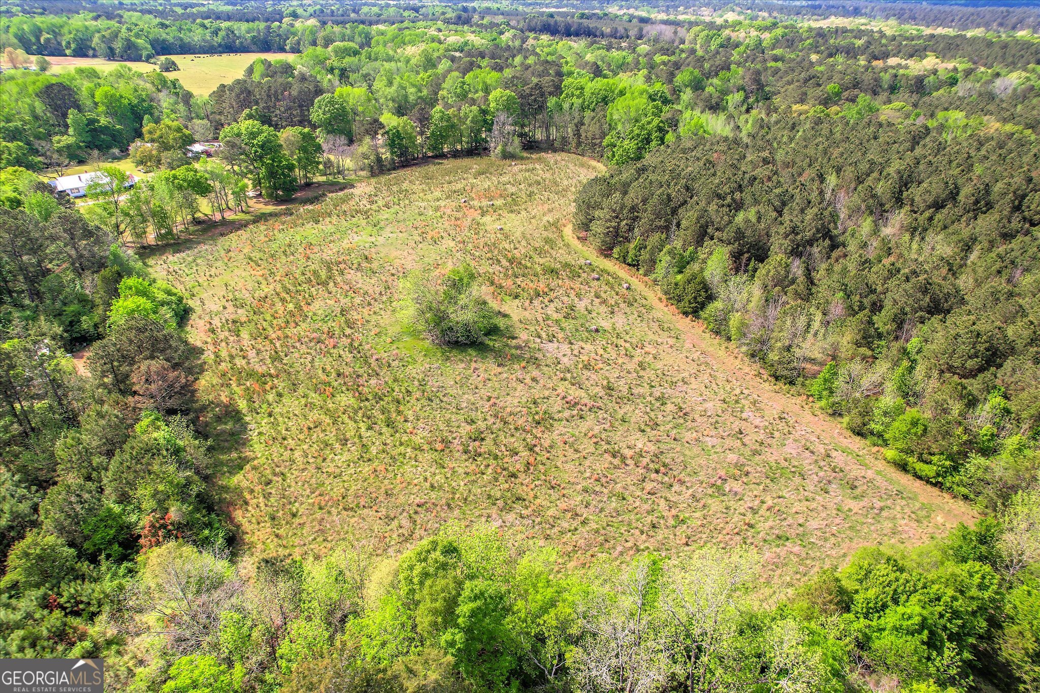 6995 Cobbham Road Appling, GA 30802 - Photo 7 of 18