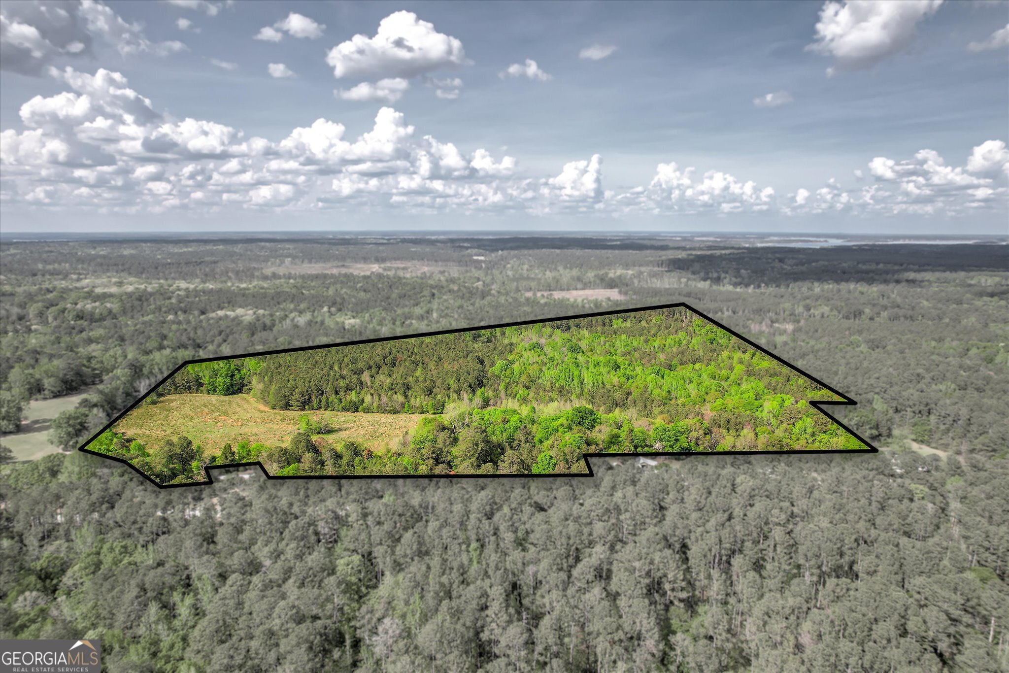 6995 Cobbham Road Appling, GA 30802 - Photo 8 of 18