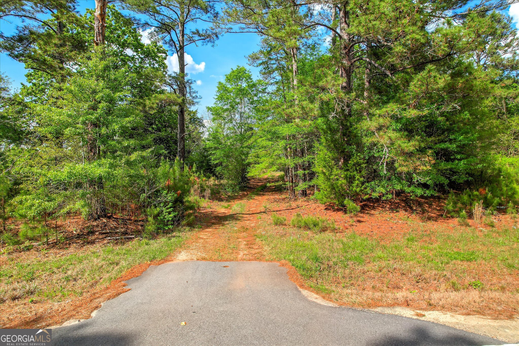 6995 Cobbham Road Appling, GA 30802 - Photo 9 of 18